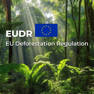 SITE - imagem destaque artigo